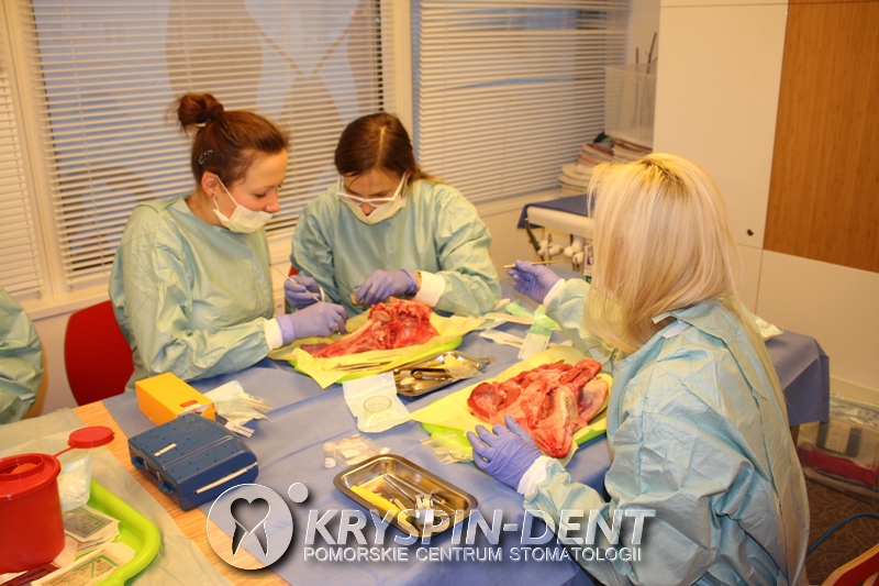 Profesjonalna Asysta w Implantologii - szkolenia dla Dentystów w Gdańsku - Kryspin-Dent