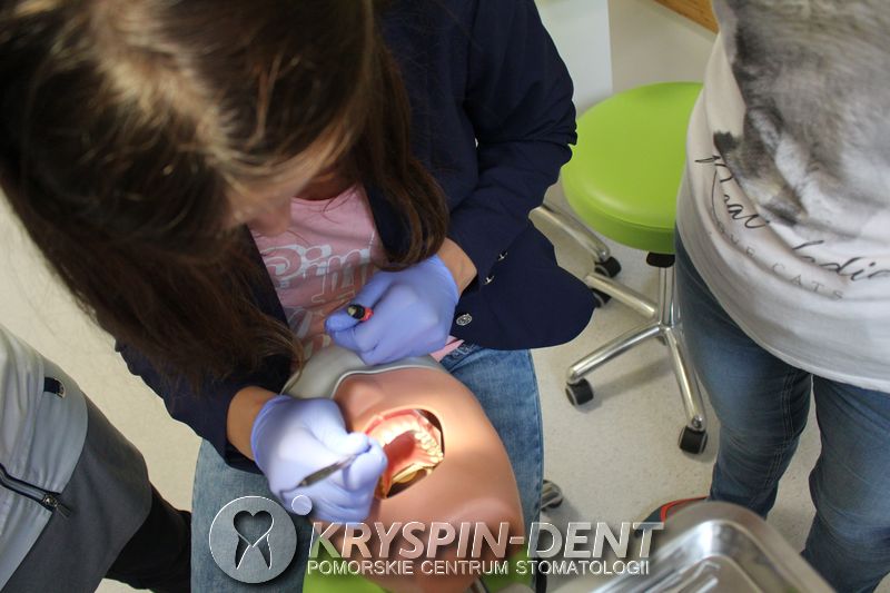 Profesjonalna Asysta w Protetyce - Szkolenia dla Dentystów Gdańsk - Kryspin-Dent